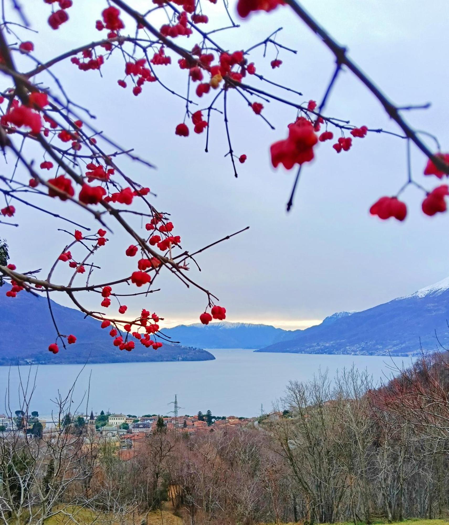 Lake Como Borgo Vignola Cremia ภายนอก รูปภาพ